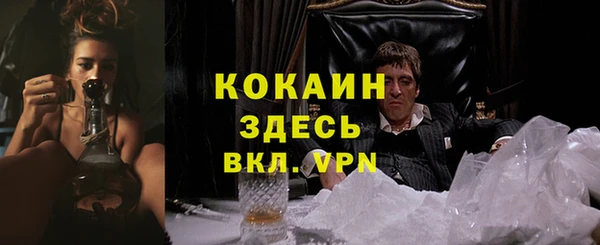 твердый Арсеньев