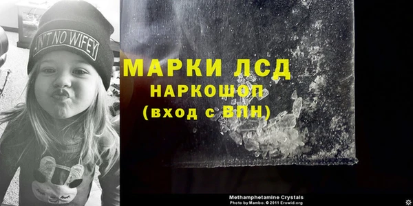 индика Армянск