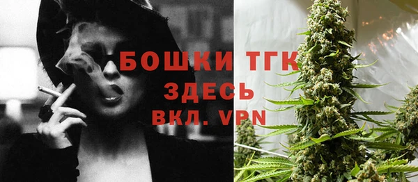 твердый Арсеньев