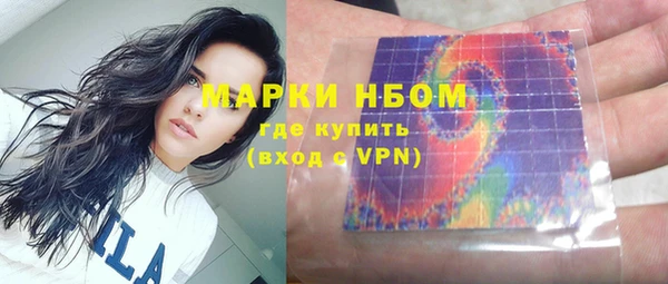 индика Армянск