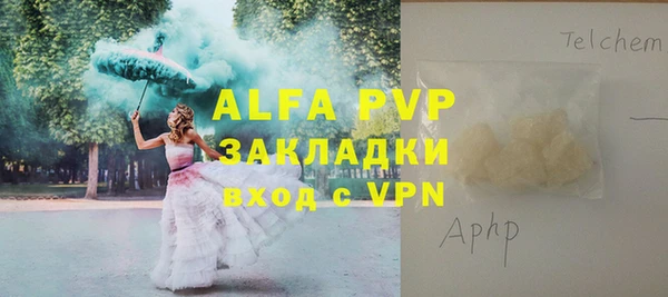индика Армянск